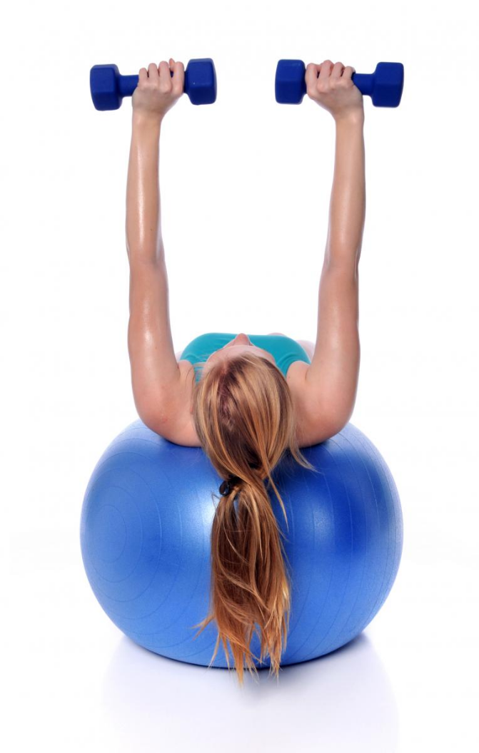 Physio Ball